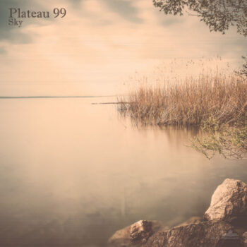 PHLOAL005_web