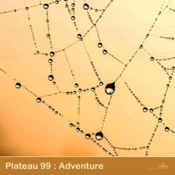 PHLOFI008_web