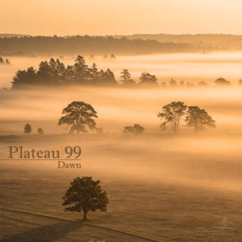 PHLOAL019_web