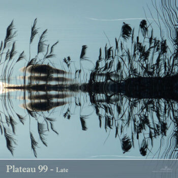 PHLOFI016_web