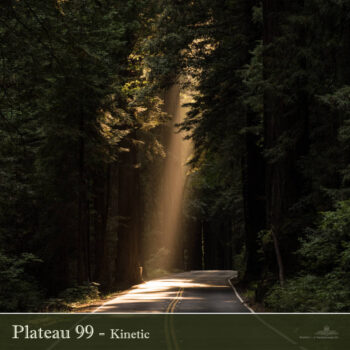 PHLOFI033_web