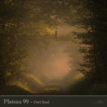 PHLOFI113_web