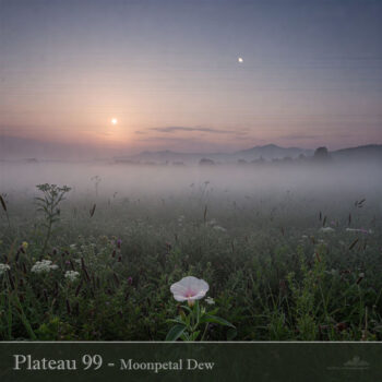 PHLOFI115_web