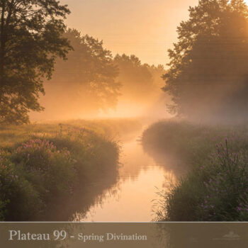 PHLOFI116_web