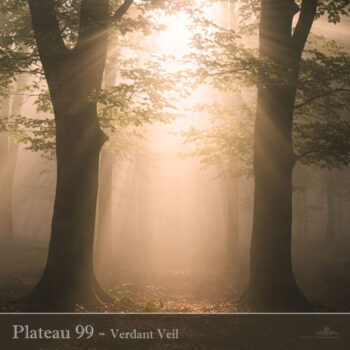 PHLOFI118_web