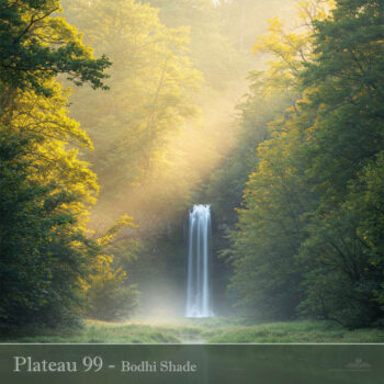 PHLOFI122_web