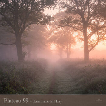 PHLOFI127_web