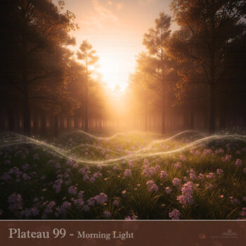 PHLOFI128_web