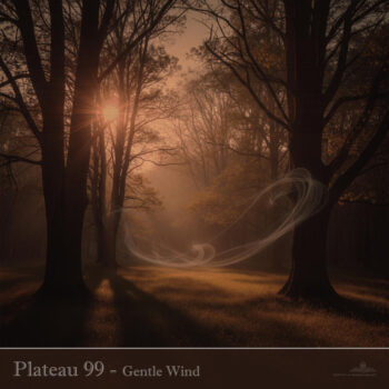 PHLOFI130_web