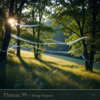 PHLOFI134_web