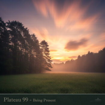 PHLOFI135_web