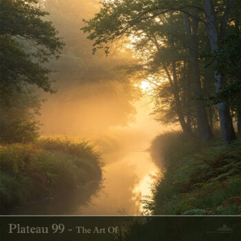 PHLOFI137_web